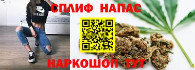 трава Бийск