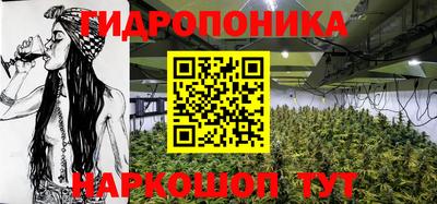 трава Бийск