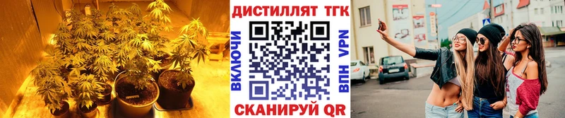 ТГК жижа  Павлово 