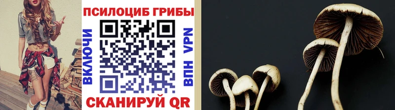 Галлюциногенные грибы прущие грибы  наркошоп  Павлово 