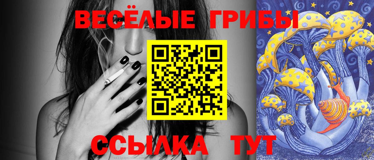 Псилоцибиновые грибы MAGIC MUSHROOMS  Вход с VPN  Павлово 