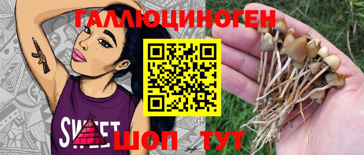 Псилоцибиновые грибы мухоморы  Псилоцибиновые грибы прущие грибы  Павлово 