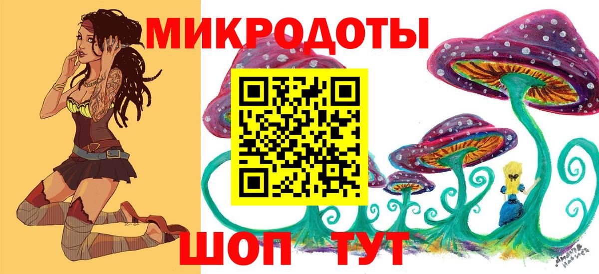 Галлюциногенные грибы Psilocybine cubensis Павлово