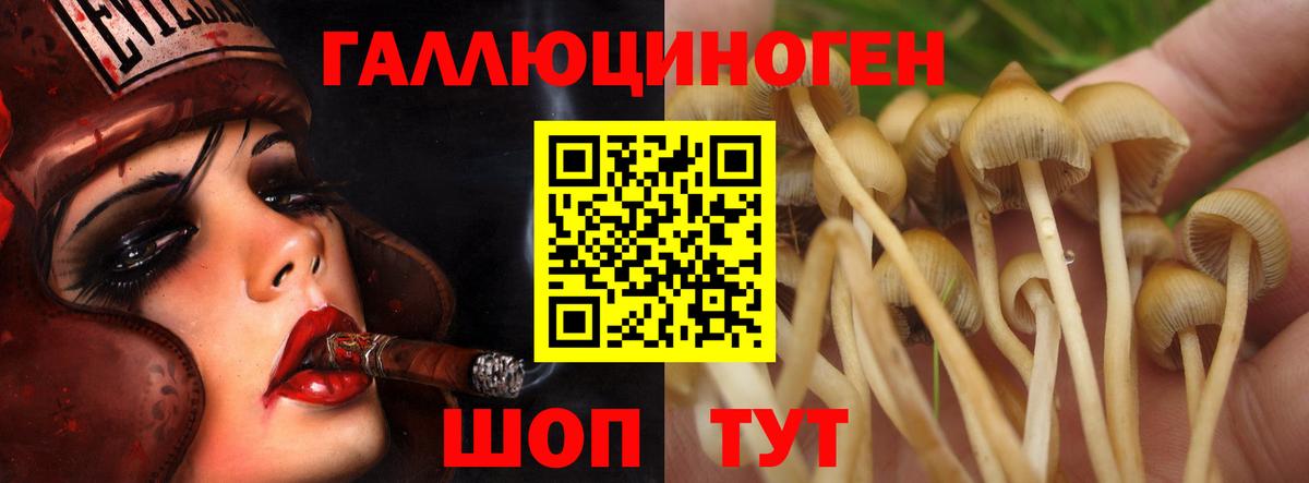 Галлюциногенные грибы Magic Shrooms Павлово