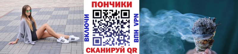 Шишки марихуана марихуана  купить наркотики цена  Павлово 